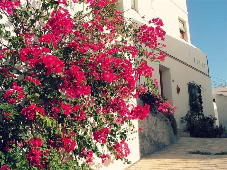 Appartamento Jardines Del Mar Salobreña Esterno foto